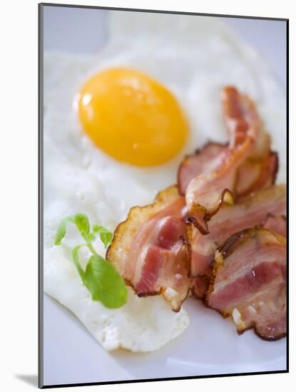 Fried Bacon and Egg-null-Mounted Photographic Print