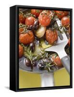 Fried Cherry Tomatoes with Garlic and Olives in Frying Pan-null-Framed Stretched Canvas