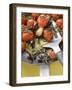 Fried Cherry Tomatoes with Garlic and Olives in Frying Pan-null-Framed Premium Photographic Print