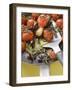 Fried Cherry Tomatoes with Garlic and Olives in Frying Pan-null-Framed Photographic Print