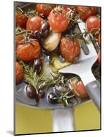 Fried Cherry Tomatoes with Garlic and Olives in Frying Pan-null-Mounted Photographic Print
