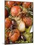 Fried Cherry Tomatoes with Garlic and Olives-null-Mounted Photographic Print