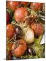 Fried Cherry Tomatoes with Garlic and Olives-null-Mounted Photographic Print