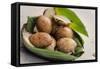 Fried Coconut-Milk Dessert, Damnoen Saduak Floating Market, Thailand, Southeast Asia, Asia-Andrew Taylor-Framed Stretched Canvas