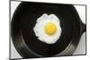 Fried Egg in a Cast Iron Skillet-Boch Photography-Mounted Photographic Print