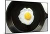 Fried Egg in a Cast Iron Skillet-Boch Photography-Mounted Photographic Print