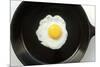 Fried Egg in a Cast Iron Skillet-Boch Photography-Mounted Photographic Print