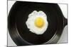 Fried Egg in a Cast Iron Skillet-Boch Photography-Mounted Photographic Print