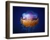 Fried Egg Jellyfish-null-Framed Giclee Print