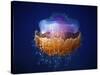 Fried Egg Jellyfish-null-Stretched Canvas