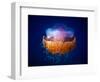 Fried Egg Jellyfish-Luckyguy-Framed Photographic Print