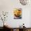 Fried Laks with Chips, Jutland, Denmark, Scandinavia, Europe-Yadid Levy-Framed Photographic Print displayed on a wall