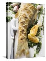 Fried Sea Bass with Herbs, Garlic and Lemon-null-Stretched Canvas