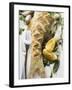 Fried Sea Bass with Herbs, Garlic and Lemon-null-Framed Photographic Print