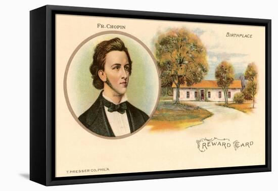 Friedrich Chopin and Birthplace-null-Framed Stretched Canvas