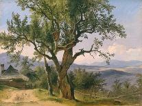 The Old Tree-Friedrich Gauermann-Giclee Print