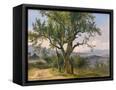 Canvas Black