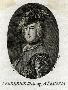 Laminate