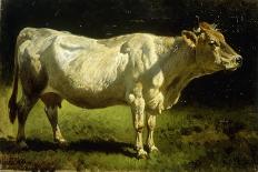 The Cowherd, 19Th Century-Friedrich Johann Voltz-Giclee Print