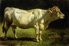 Cow in a Landscape-Friedrich Johann Voltz-Framed Giclee Print