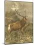 Wood Mount
