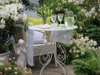 Meringues and Woodruff Punch on Romantic Garden Table-Friedrich Strauss-Photographic Print