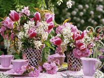 Meringues and Woodruff Punch on Romantic Garden Table-Friedrich Strauss-Photographic Print