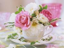 Place-Setting with Spring Posy-Friedrich Strauss-Photographic Print