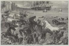 Fetching the Old Mare Home-Friedrich Wilhelm Keyl-Giclee Print