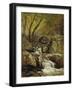 Friedrichsgrund Near Pillnitz, C. 1830-Carl Gustav Carus-Framed Giclee Print