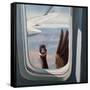 Friendly Skies-Lucia Heffernan-Framed Stretched Canvas