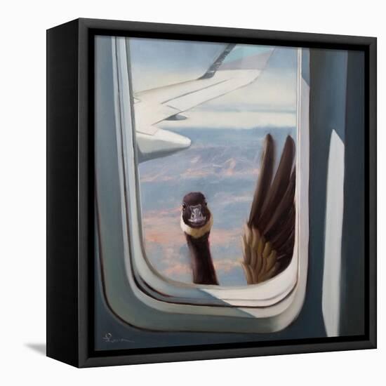 Friendly Skies-Lucia Heffernan-Framed Stretched Canvas