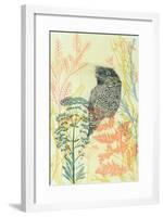 Friendly Tawny Frog-Trudy Rice-Framed Art Print