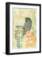 Friendly Tawny Frog-Trudy Rice-Framed Art Print