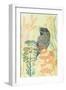 Friendly Tawny Frog-Trudy Rice-Framed Art Print