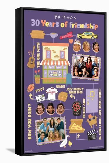 Friends 30th - 30 Years of Friendship-Trends International-Framed Stretched Canvas