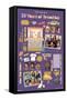 Friends 30th - 30 Years of Friendship-Trends International-Framed Stretched Canvas