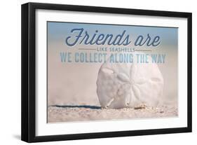 Friends are Like Seashells - Sand Dollar-Lantern Press-Framed Art Print