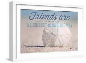 Friends are Like Seashells - Sand Dollar-Lantern Press-Framed Art Print