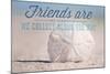 Friends are Like Seashells - Sand Dollar-Lantern Press-Mounted Art Print