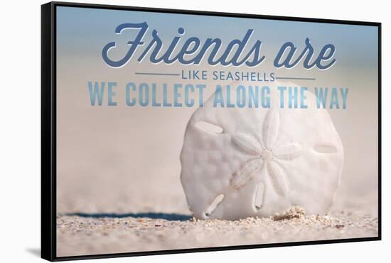 Friends are Like Seashells - Sand Dollar-Lantern Press-Framed Stretched Canvas