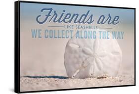 Friends are Like Seashells - Sand Dollar-Lantern Press-Framed Stretched Canvas