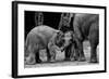 Friends Forever-Ernest Rex-Framed Photographic Print