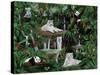 Friends in the Rainforest-Betty Lou-Stretched Canvas