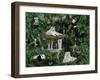 Friends in the Rainforest-Betty Lou-Framed Giclee Print