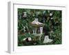 Friends in the Rainforest-Betty Lou-Framed Giclee Print