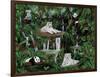 Friends in the Rainforest-Betty Lou-Framed Giclee Print