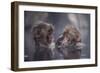 Friends-Takeshi Marumoto-Framed Photographic Print