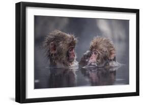 Friends-Takeshi Marumoto-Framed Photographic Print