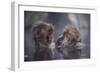 Friends-Takeshi Marumoto-Framed Photographic Print